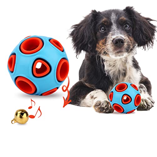 犬用ボール 1