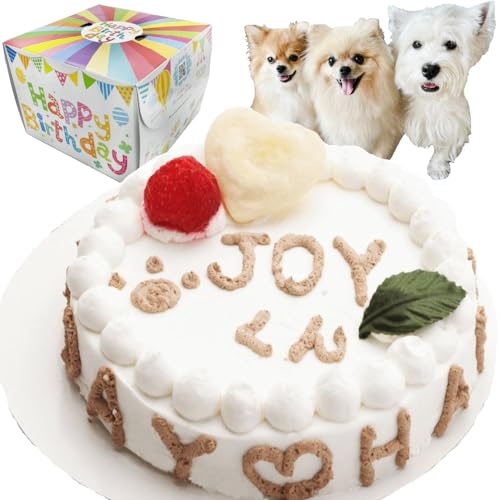 誕生日ハッピーデーケーキ 1