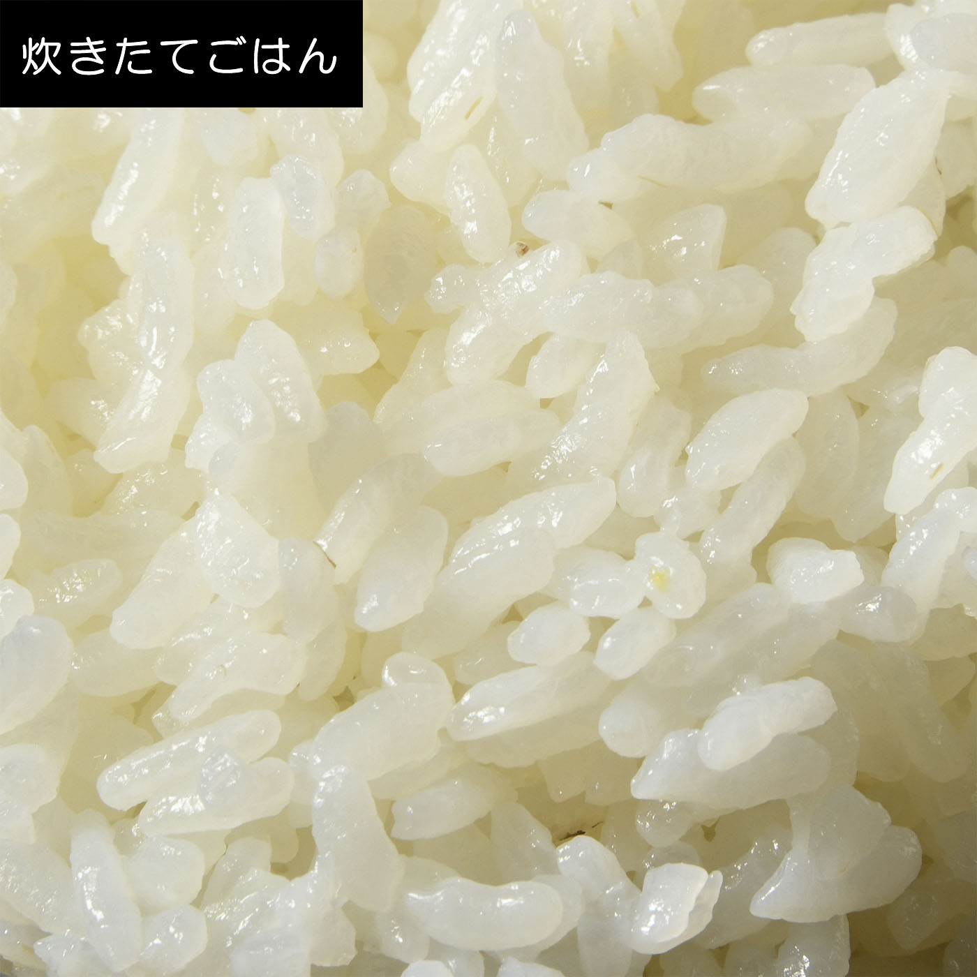 IHジャー炊飯器 10