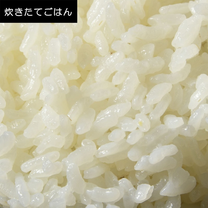 IHジャー炊飯器 10