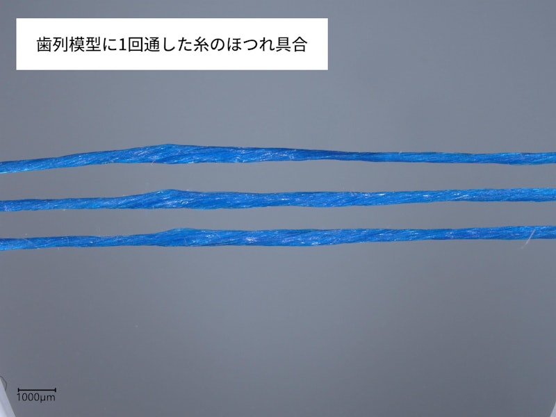 フロスエフトリオ 5