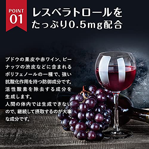 赤ワイン習慣 5