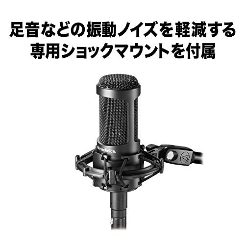 バックエレクトレット・コンデンサー・マイクロホン 2