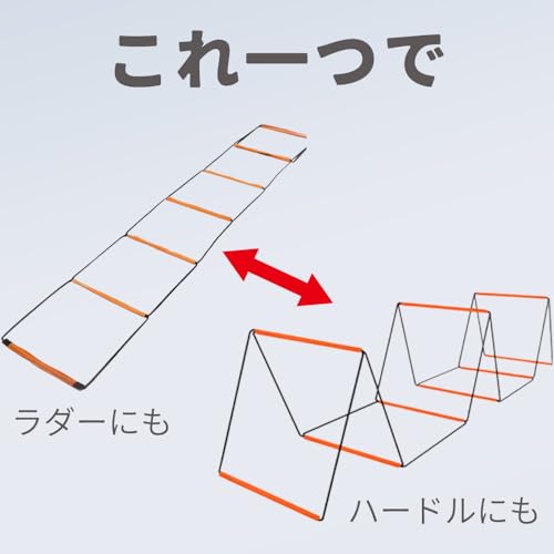 ラダー 2
