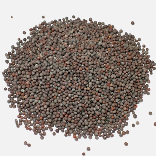 SPICE LUCK マスタードシード ブラウン 1