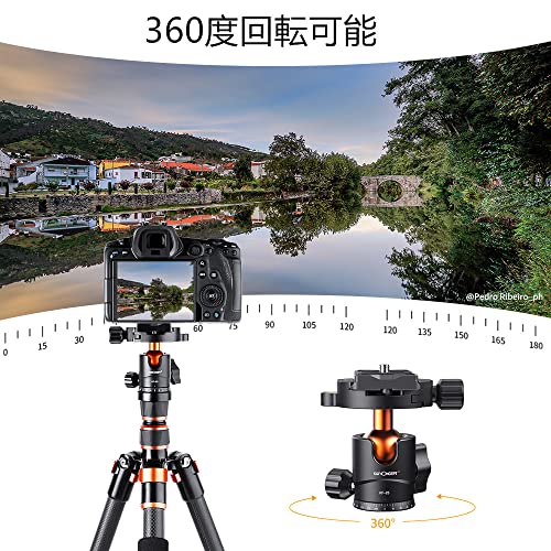 自由雲台 5