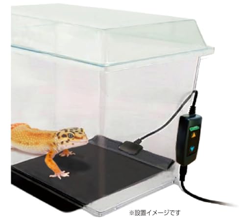 デジタルビバヒート 2