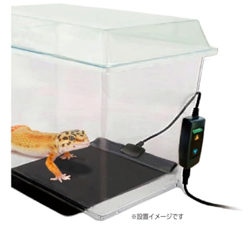 デジタルビバヒート 2
