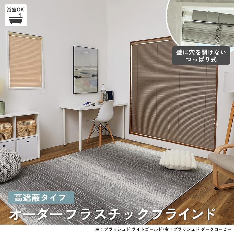 ブラインド 1