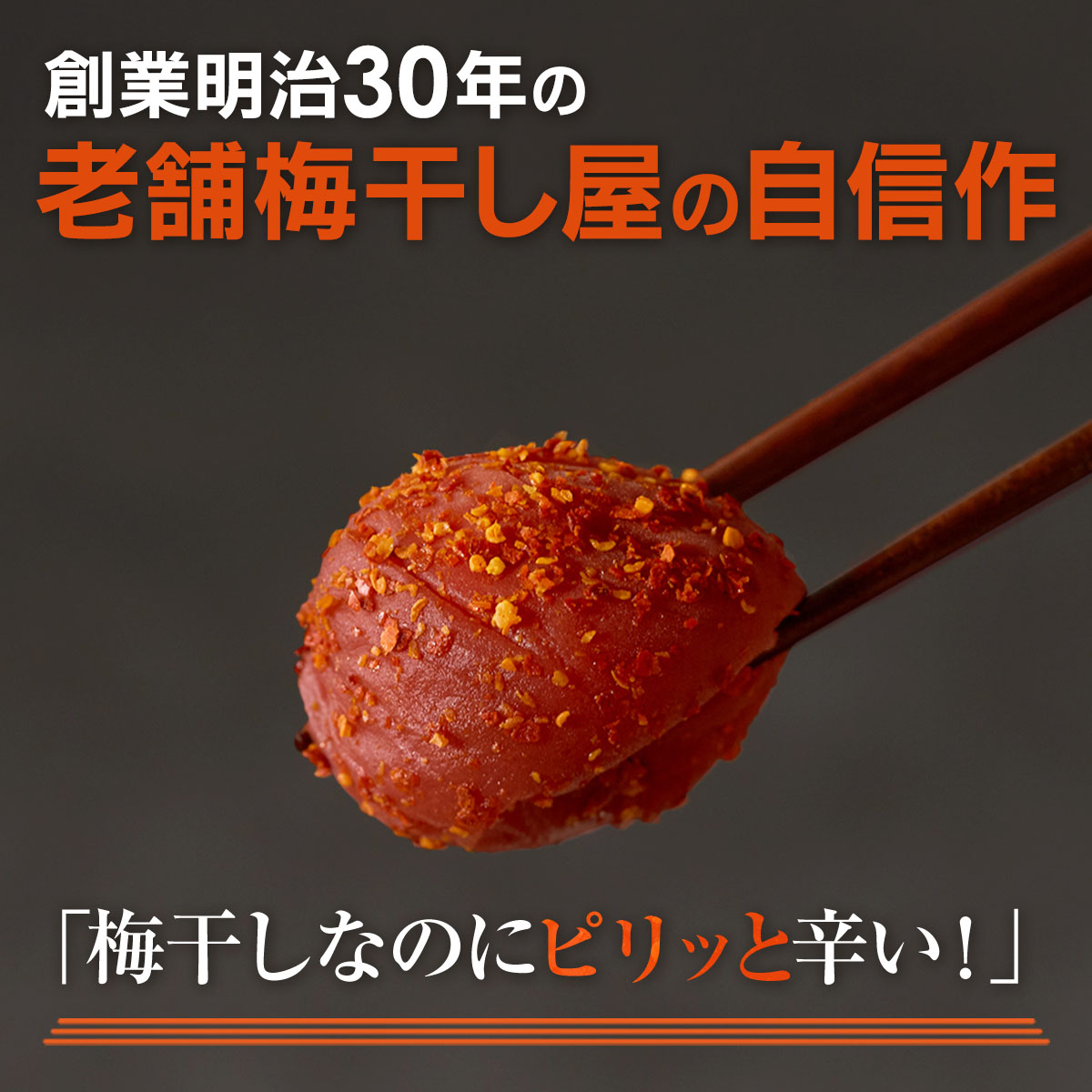 辛子梅 2