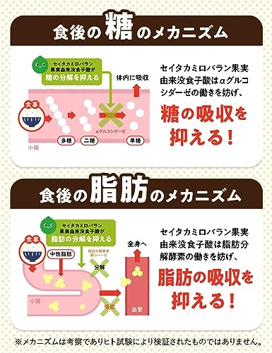 カロキュット 6