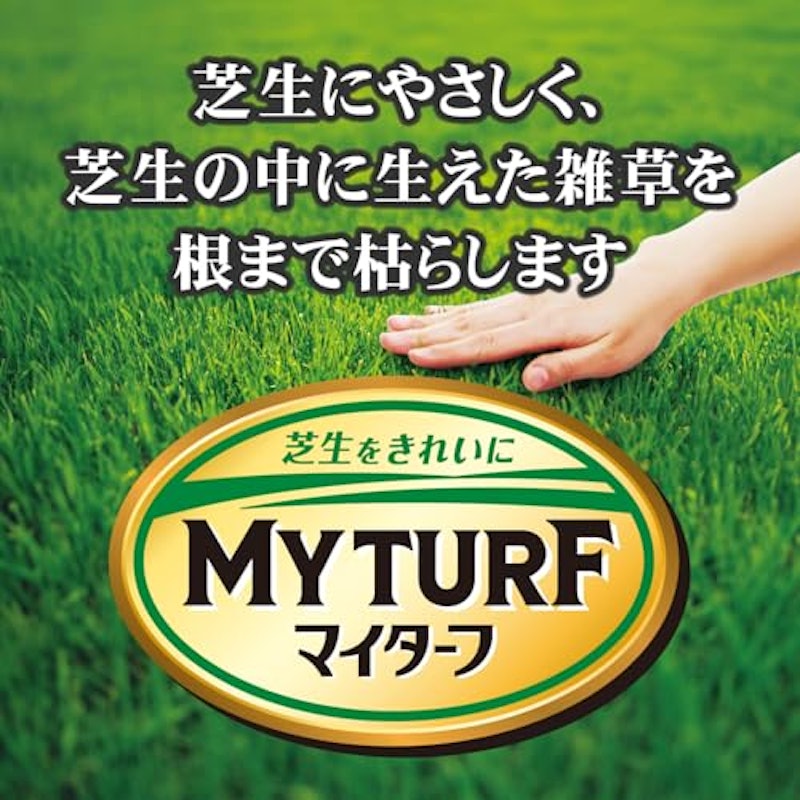 マイターフ シバニードロング粒剤 3