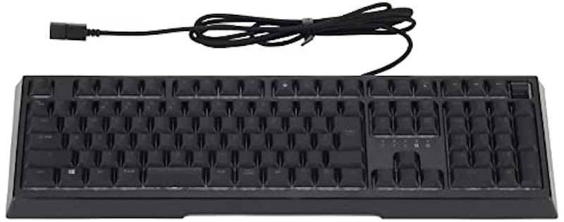 Ornata V2 2
