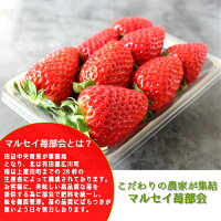 完熟まりひめ 超大粒 5
