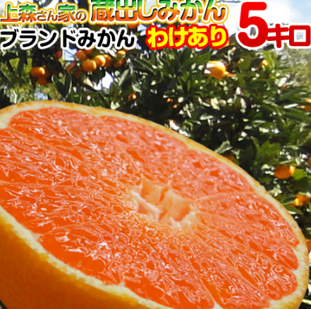 上森さん家の蔵出しみかん 秀品 1