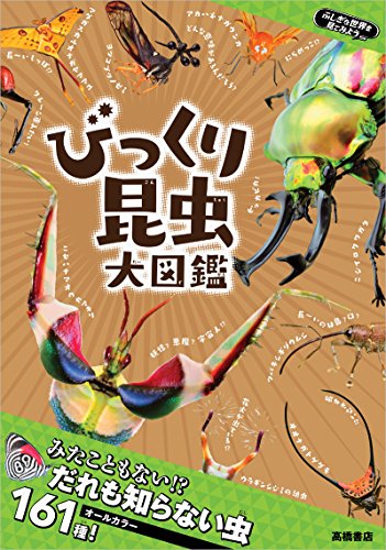 ふしぎな世界を見てみよう！びっくり昆虫 大図鑑 1
