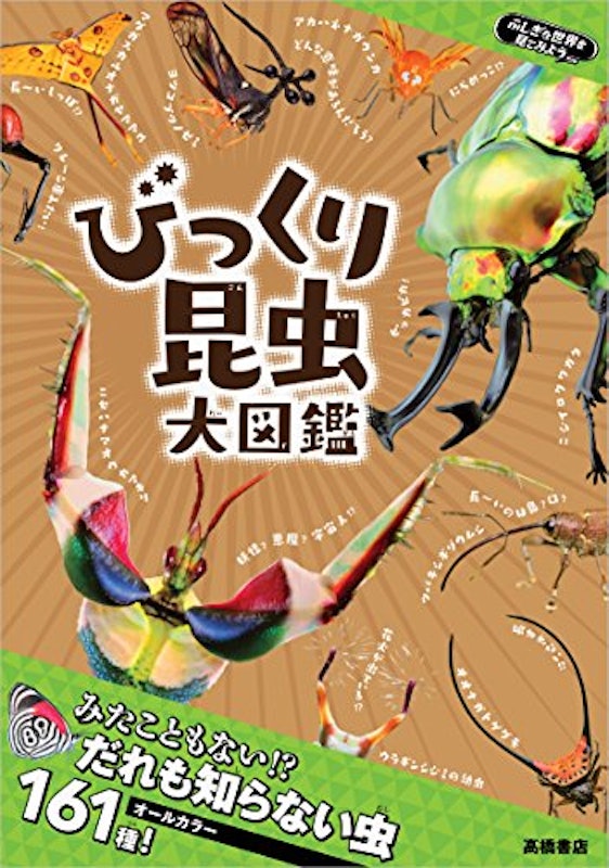ふしぎな世界を見てみよう!びっくり昆虫 大図鑑 1