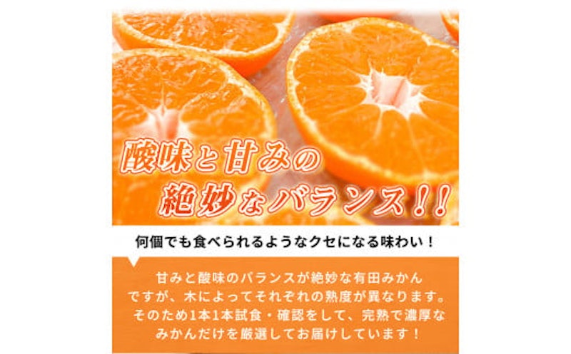 完熟 有田みかん 4