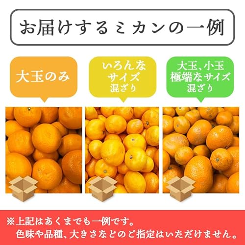 有田みかん 2