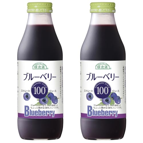 果汁100％ ブルーベリージュース 1