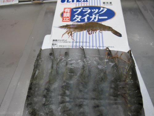 有頭 ブラックタイガー 1