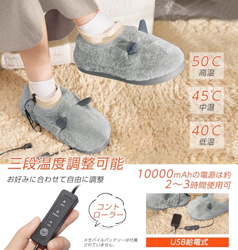 電気スリッパ 4