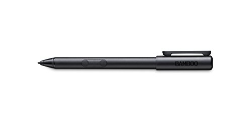 Bamboo Smart 1