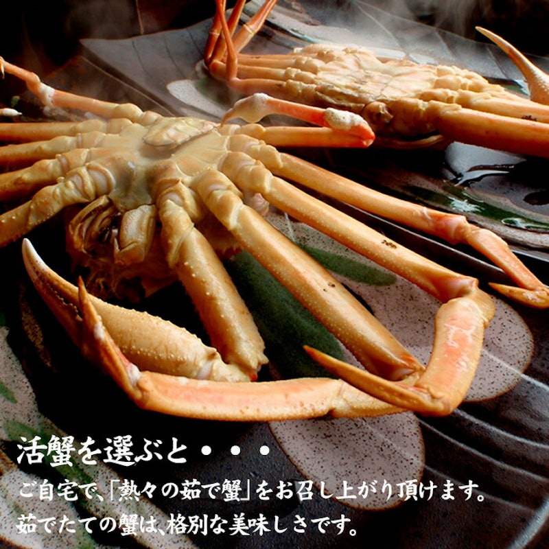 加能かに 4
