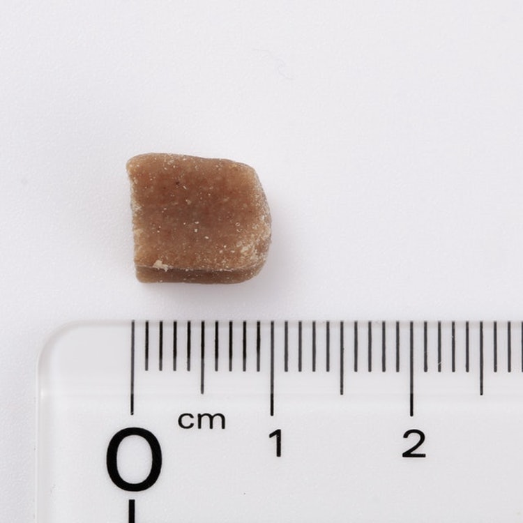 ジャケット ジャパン 株式 会社 口コミ