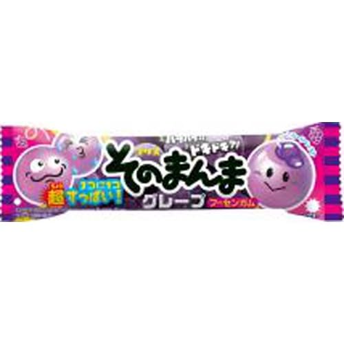 そのまんまグレープフーセンガム 1