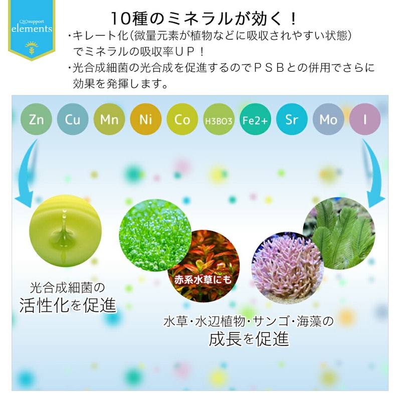 Q10サポートエレメンツ 淡水・海水用 2