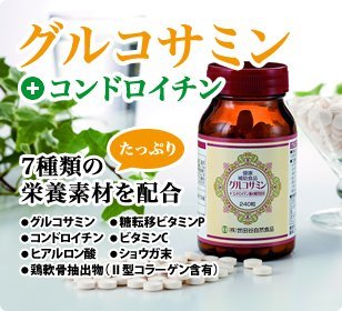 グルコサミン＋コンドロイチン 2