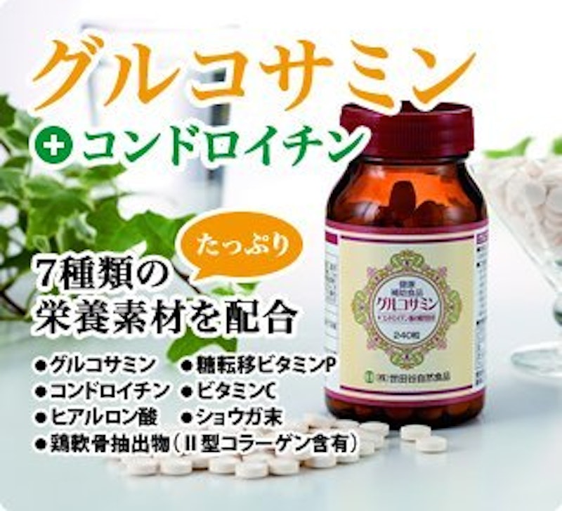 グルコサミン+コンドロイチン 2