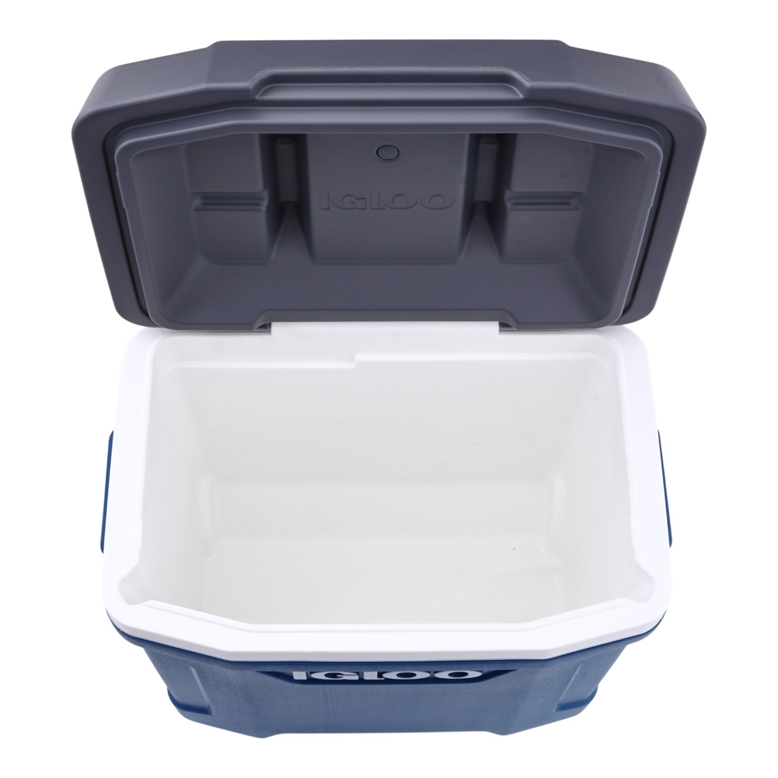 Igloo Products ラティ 30QTを検証レビュー！クーラーボックスの選び方も紹介 2