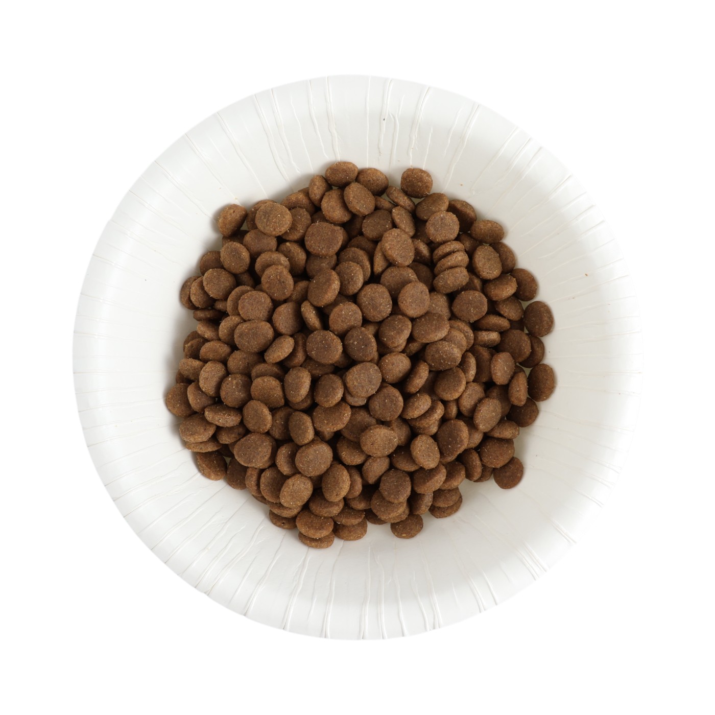 徹底比較】成犬用ドッグフードのおすすめ人気ランキング【2026年1月