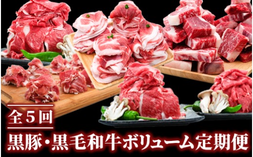 黒豚・黒毛和牛 ボリューム定期便 1
