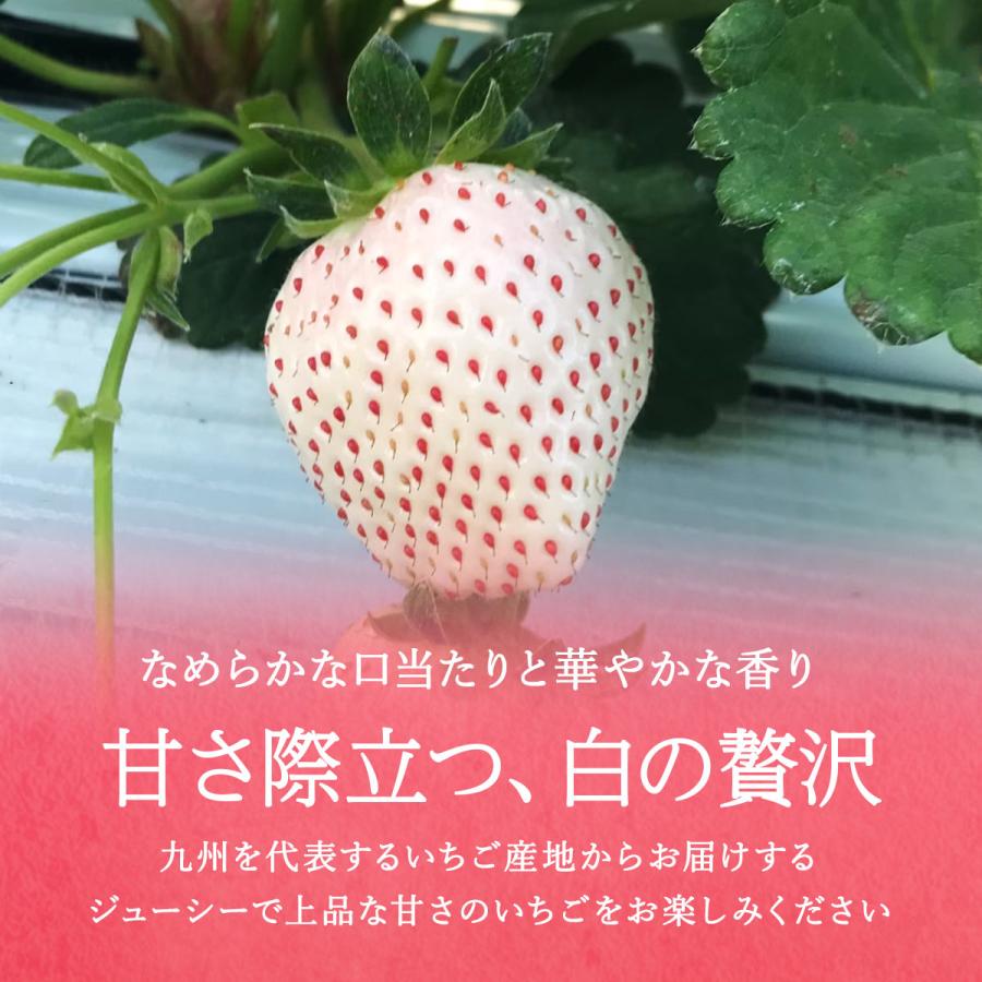 パールホワイト 3