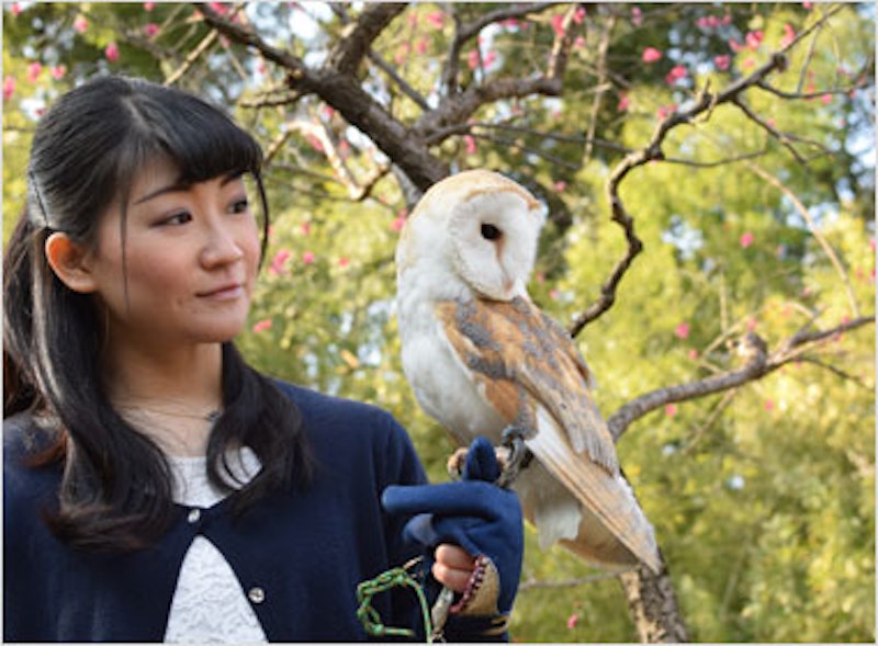 21年 東京都内のフクロウカフェのおすすめ人気ランキング10選 Mybest 21年 東京都内のフクロウカフェのおすすめ人気ランキング10選 Mybest