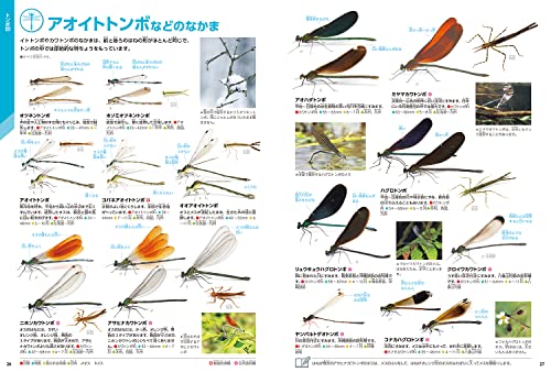 昆虫 新版 3