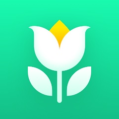 Plant Parent 1