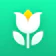 Glority Global Group Plant Parent 1