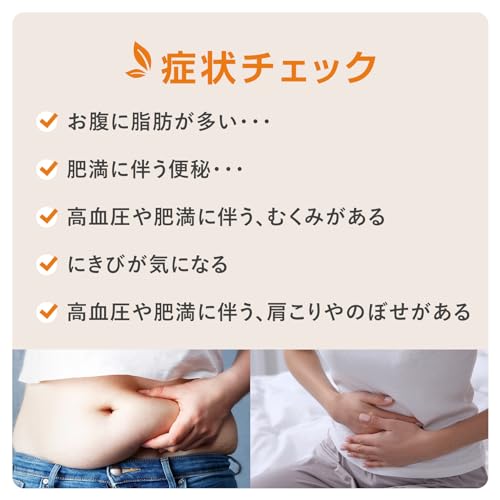 ココスリム 2