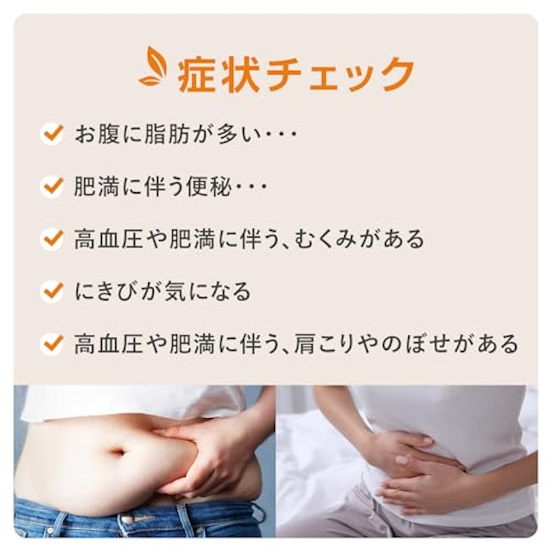 ココスリム 2