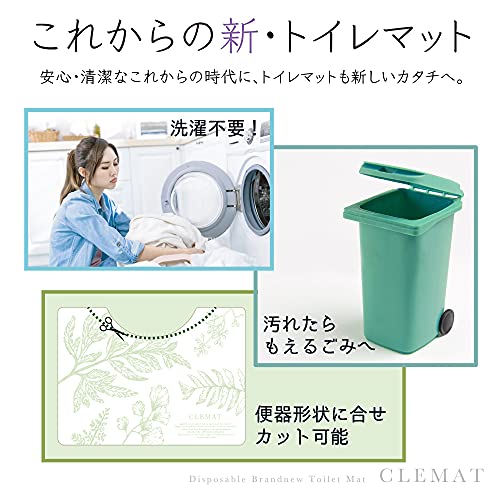 CLEMAT 3