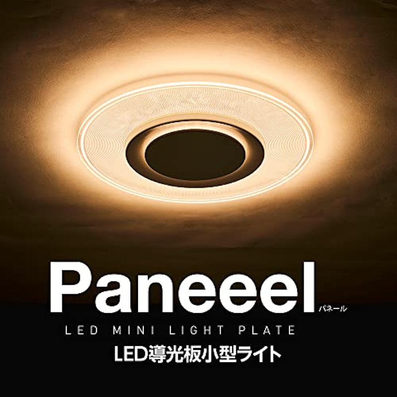 Paneeel 2