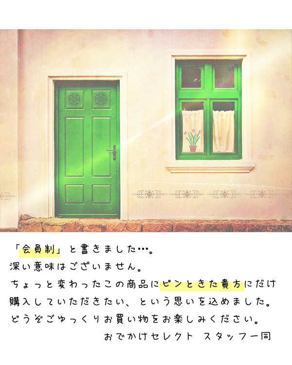 airpodsケース 2