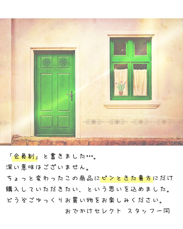 airpodsケース 2