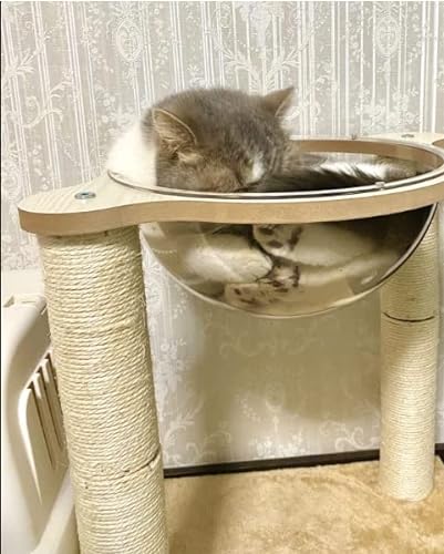 猫用スクラッチポスト 5