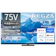 TVS REGZA 1