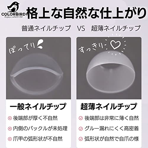 COLORBIRD ネイルチップ 4